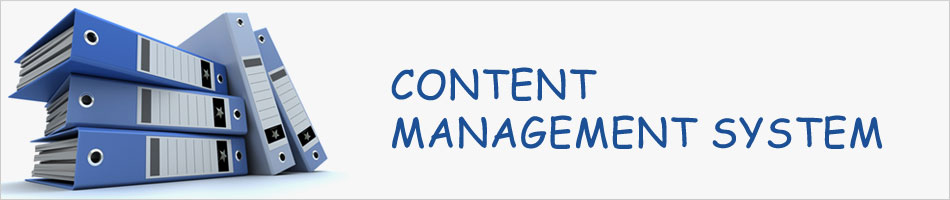 Drupal development services — Computer Kingdom Pune